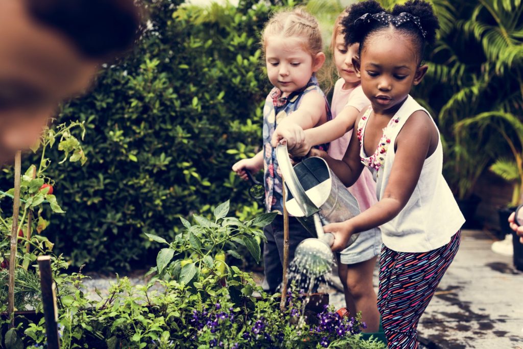 $500 Youth Garden Grant