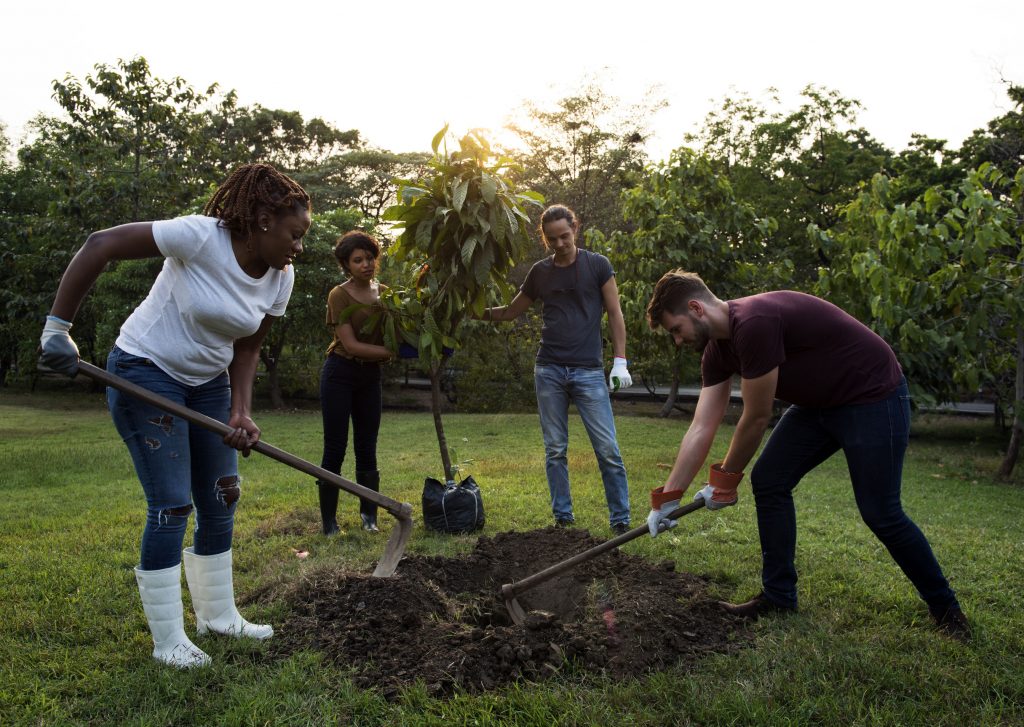 $1,000 Youth Service Grants