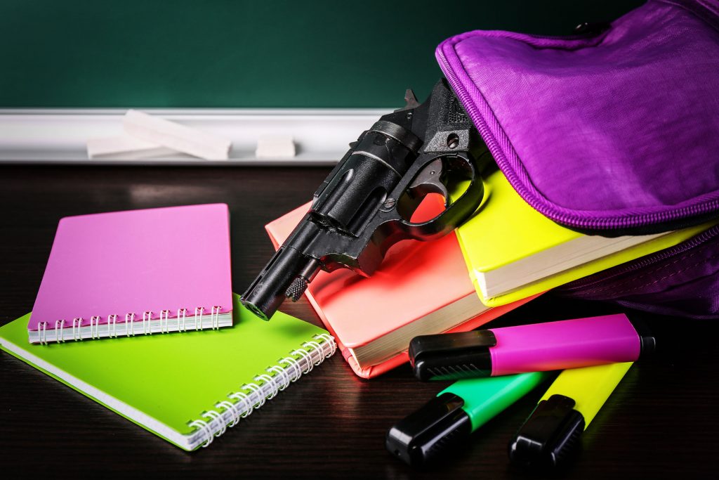 School Violence Prevention Grant [$2 Million]