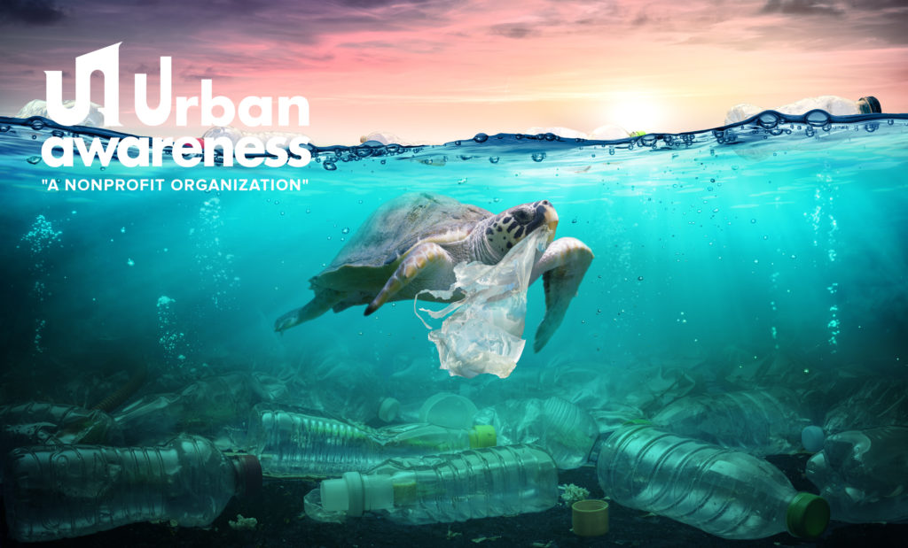 $2,500 To Address Environmental Issues
