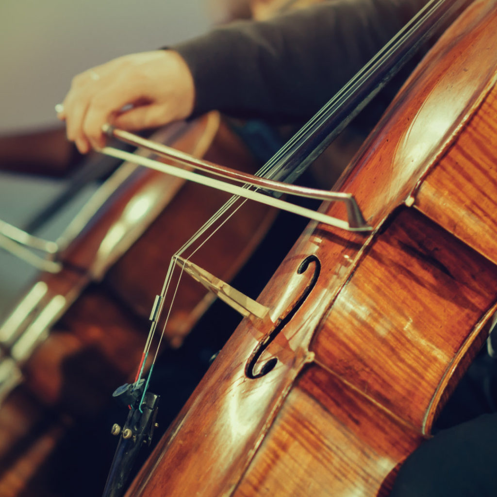 $500 Music Program Grant
