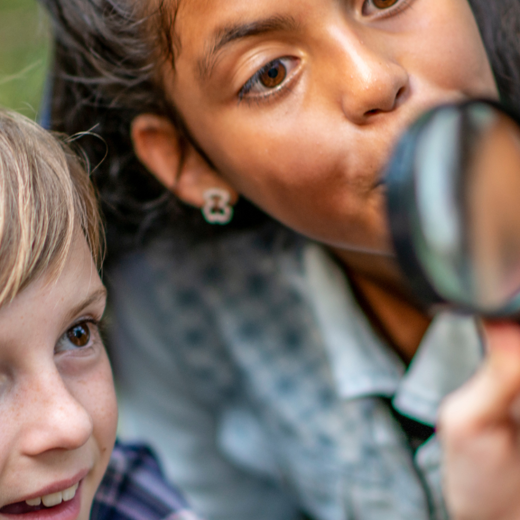 Environmental Education Grant