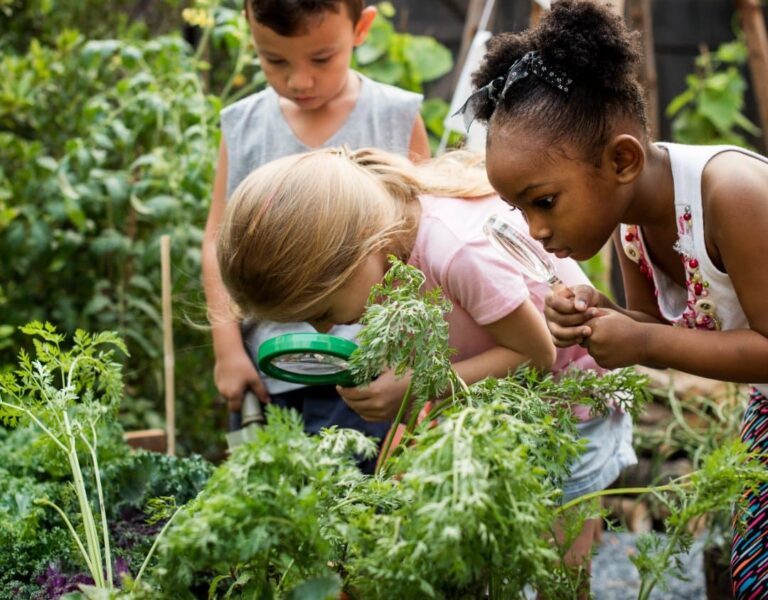 $150K Youth Environment Education Grant