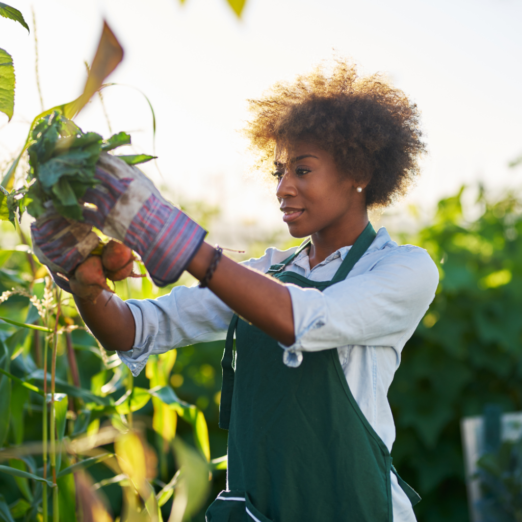 $1K Vegan Food Program Grant