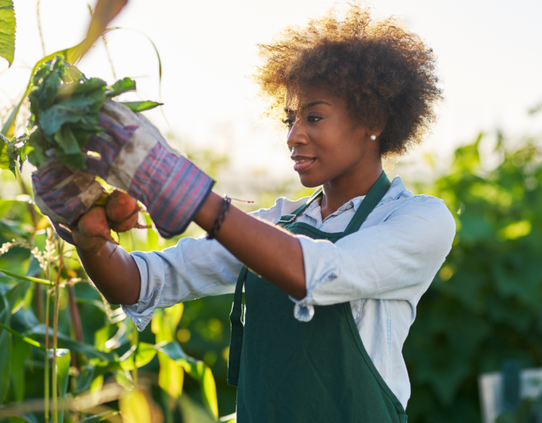 $1K Vegan Food Program Grant