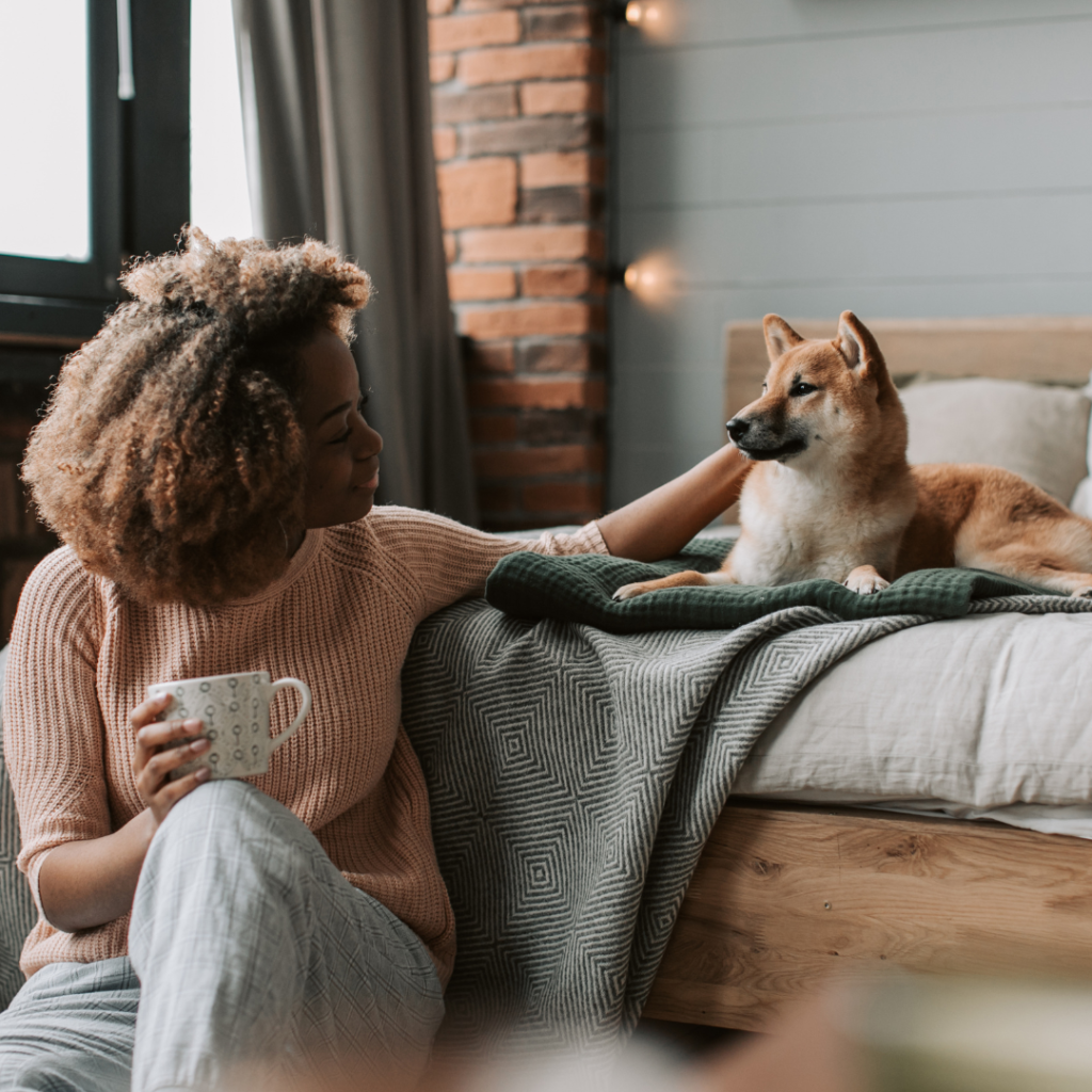 Domestic Abuse & Pets Shelter Grant