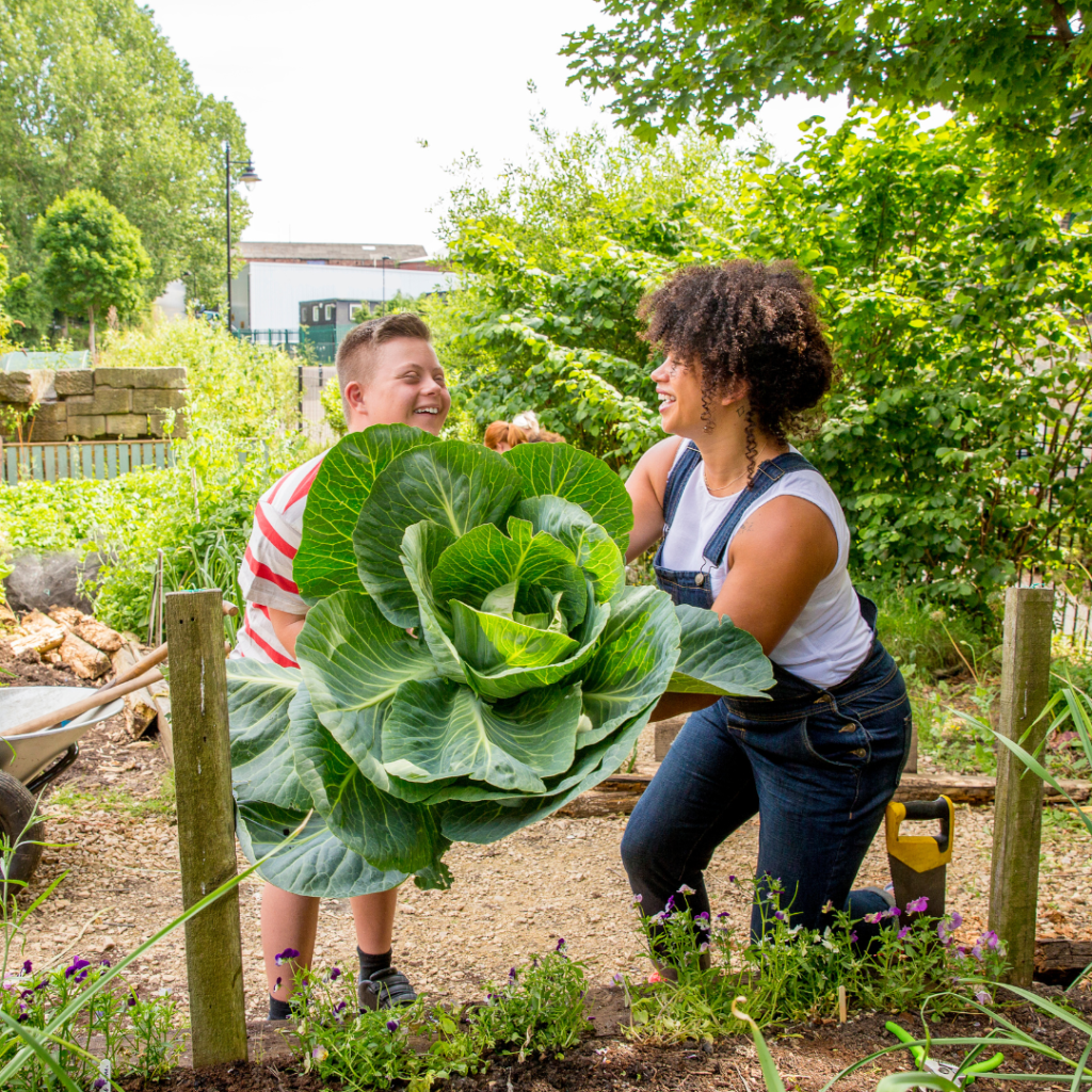 $200K Community Garden Grant