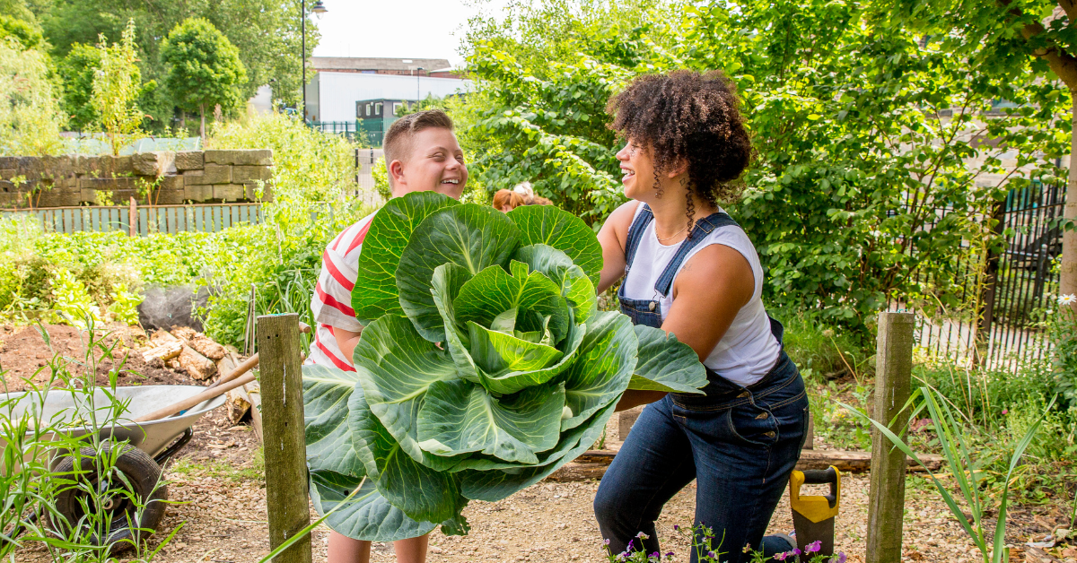 200K Community Garden Grant Urban Awareness USA