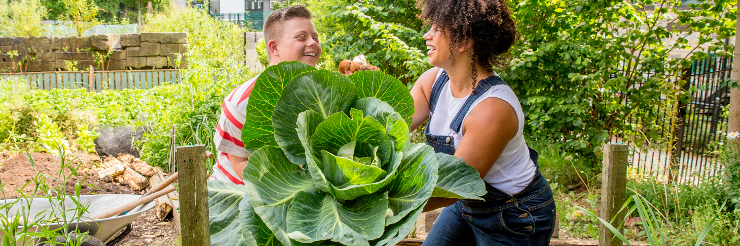 200K Community Garden Grant Urban Awareness USA