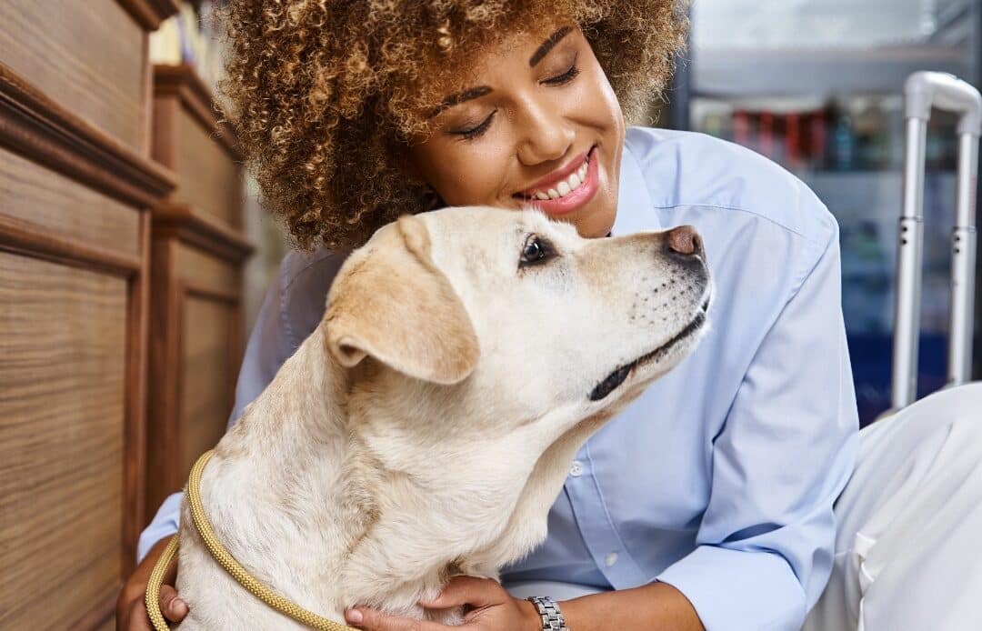 $60K Domestic Violence Pet Safety Grant