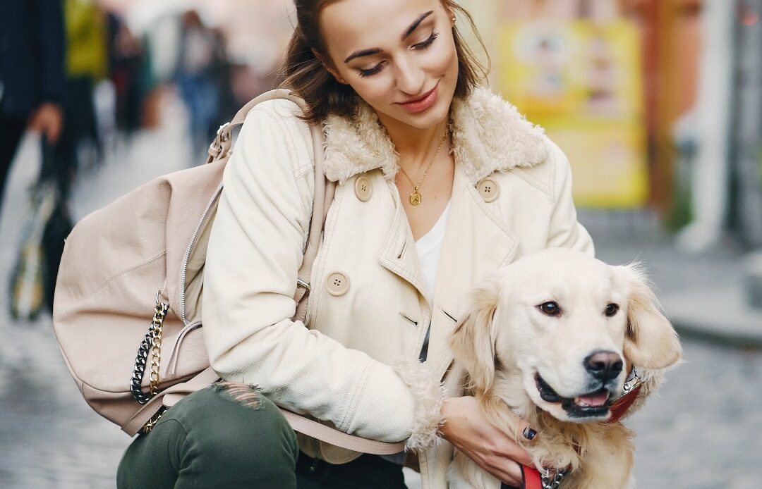 $20K Animal Safety Grant