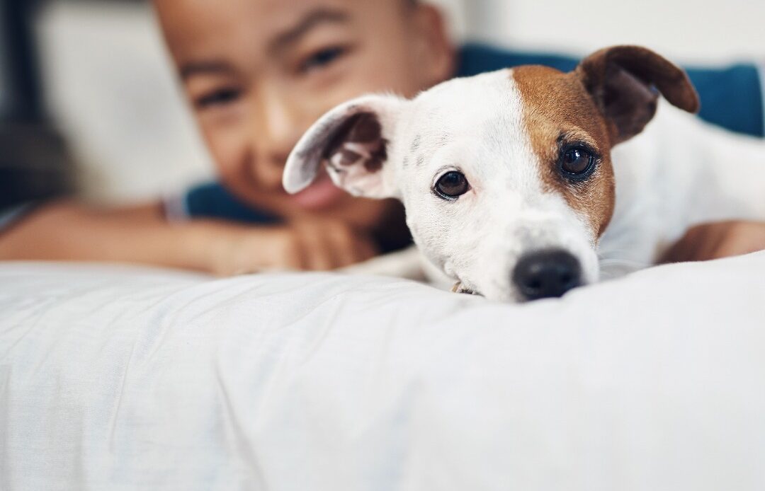 $10K Environmental & Animal Care Grant (KFC Foundation)