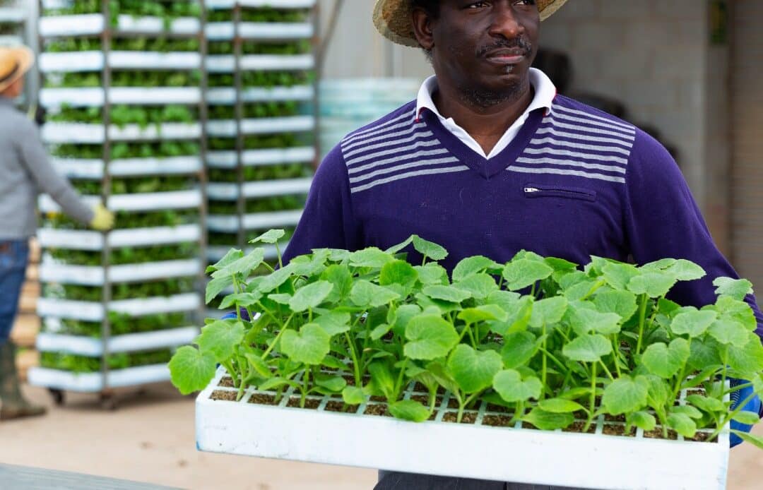 $25K Community Impact Grants for Food Access (Conagra Foundation)