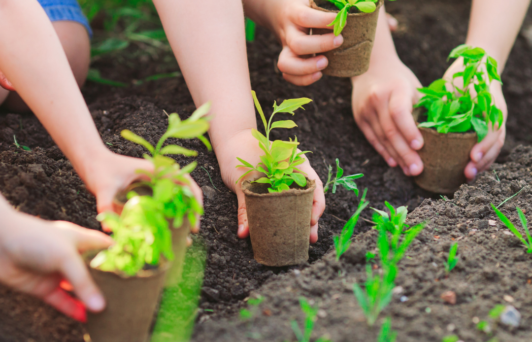 $3.5K Garden Education Grant (Whole Kids Foundation)