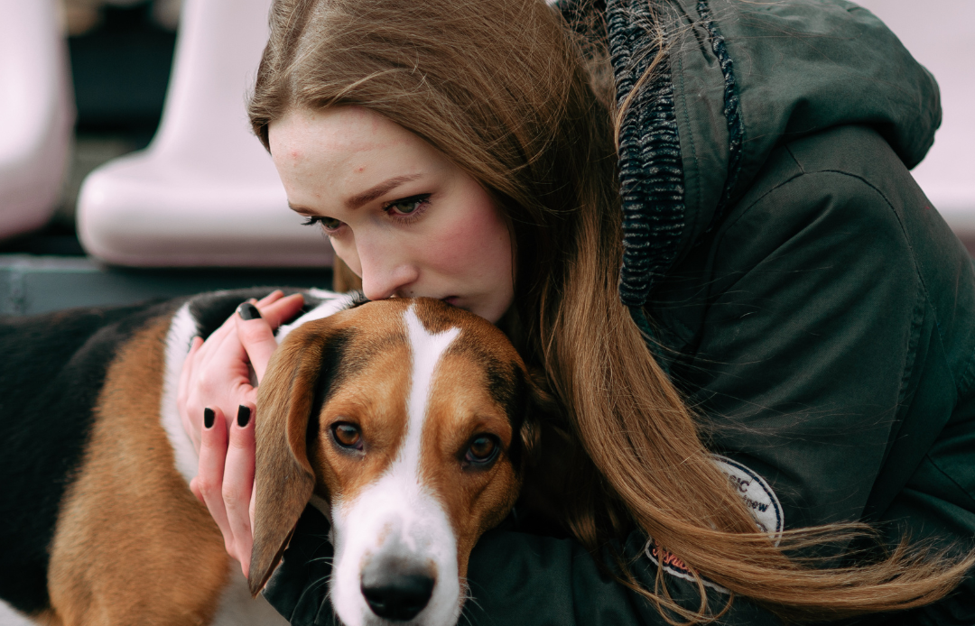$60K Safe Housing Grant for Survivors and Pets