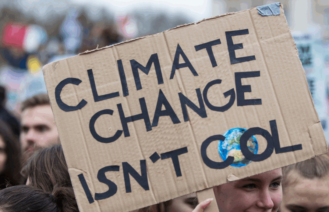 $10K Social & Environmental Impact Grant (Anderson-Rogers Foundation)