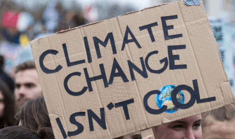 $10K Social & Environmental Impact Grant (Anderson-Rogers Foundation ...