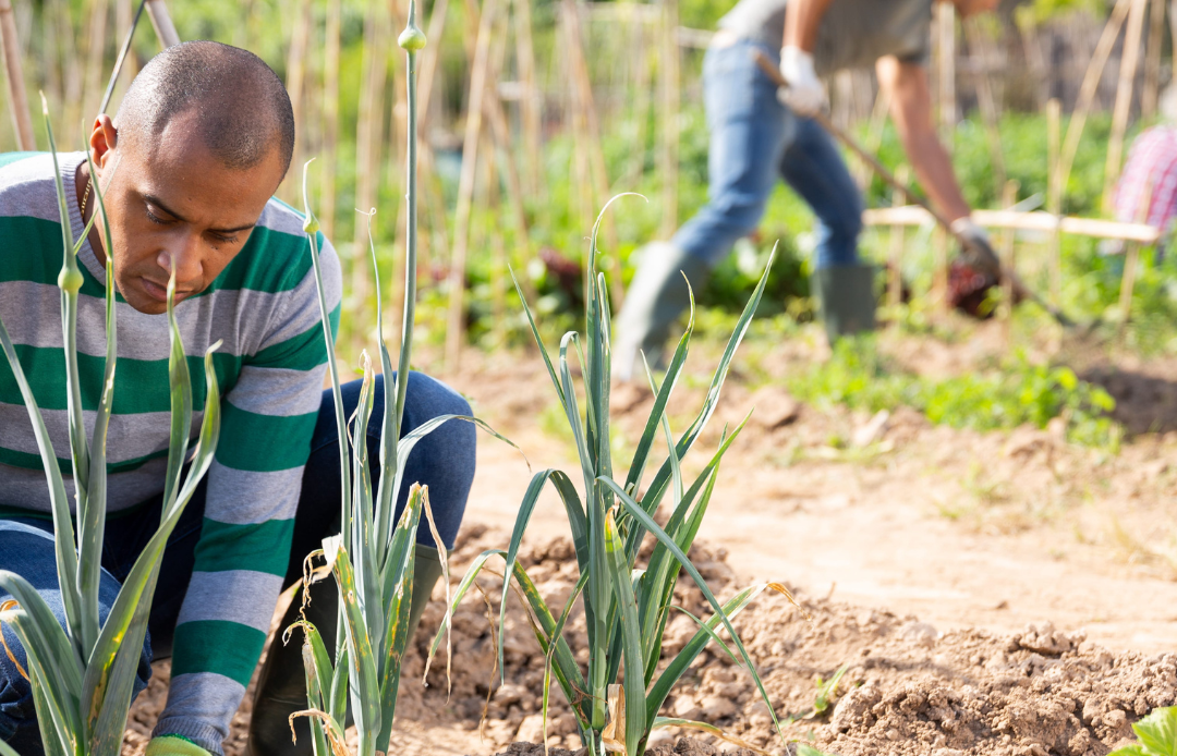$20K Food Sovereignty Grant (CS Fund)