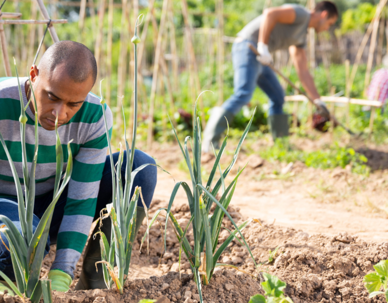 $20K Food Sovereignty Grant (CS Fund)